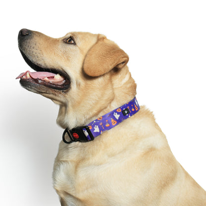 Bark-O-Lantern Halloween Dog Collar