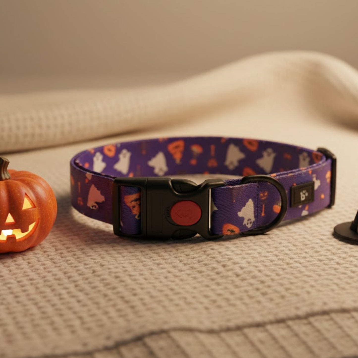 Bark-O-Lantern Halloween Dog Collar