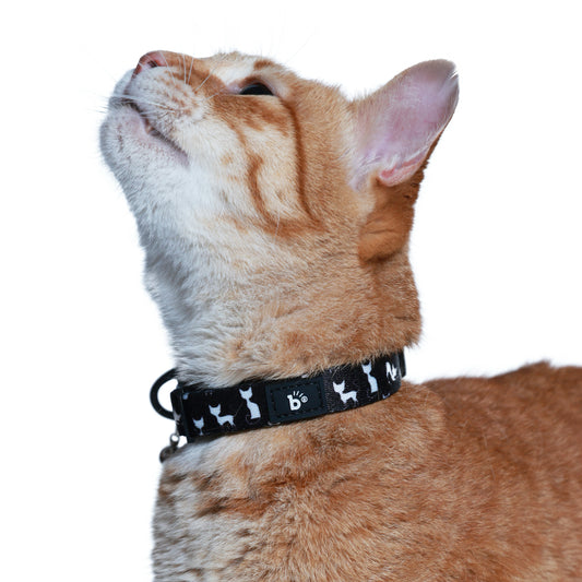 CatClipse Cat Collar