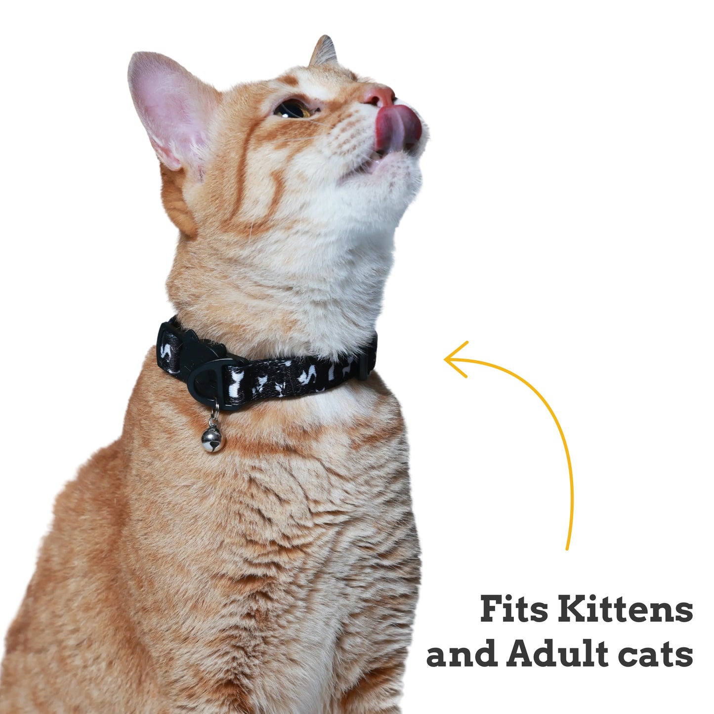 CatClipse Cat Collar
