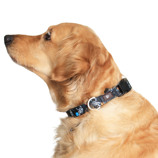 Cosmic Canine Dog Collar