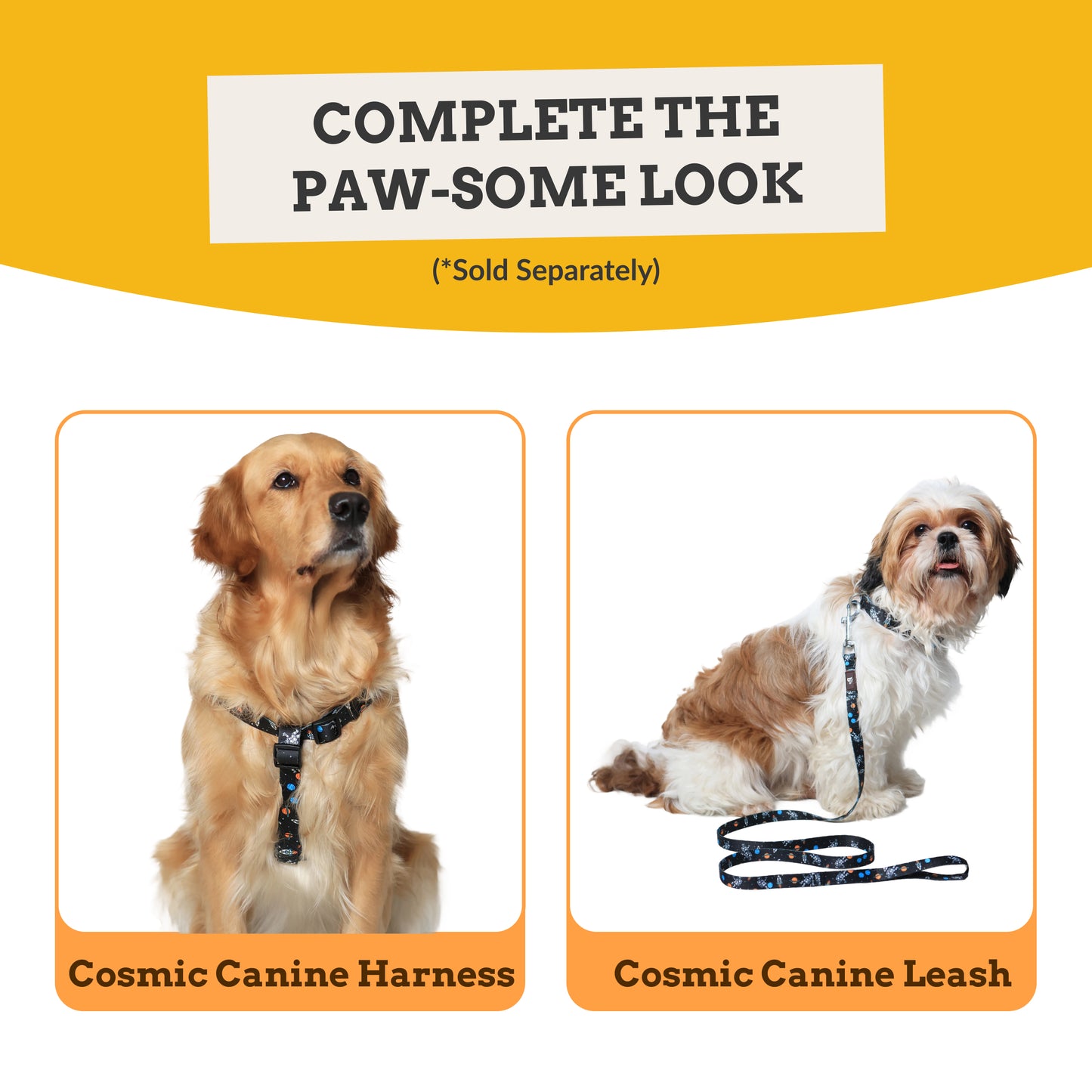 Cosmic Canine Dog Collar