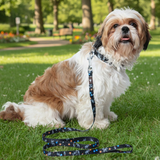 Cosmic Canine Flat Dog Leash