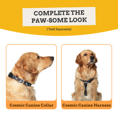 Cosmic Canine Flat Dog Leash