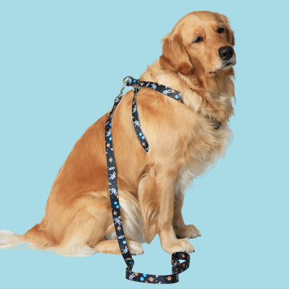 Cosmic Canine Flat Dog Leash