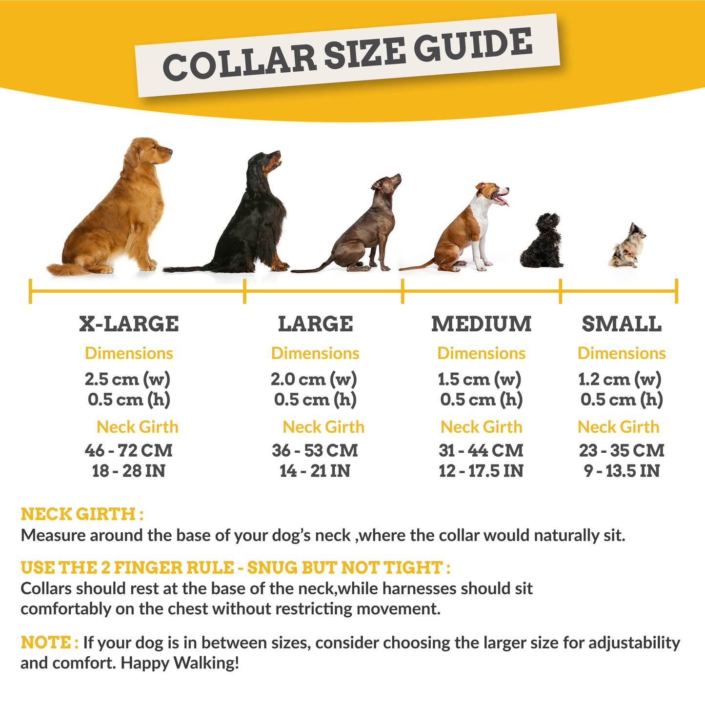 Dune Drifter Dog Collar