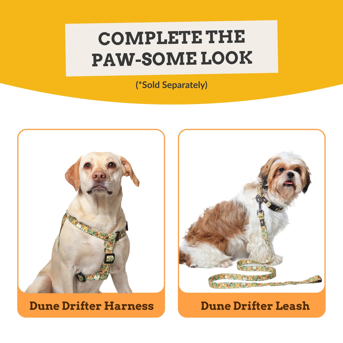 Dune Drifter Dog Collar