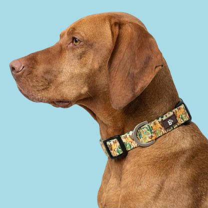 Dune Drifter Dog Collar