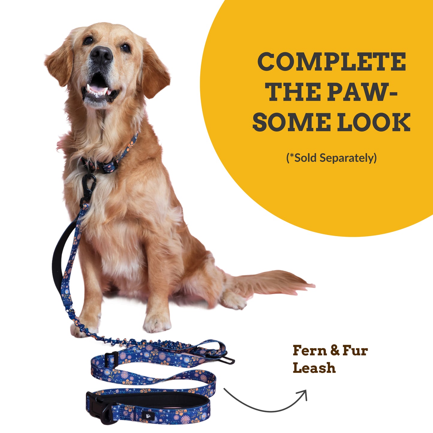 Fern & Fur Dog Collar