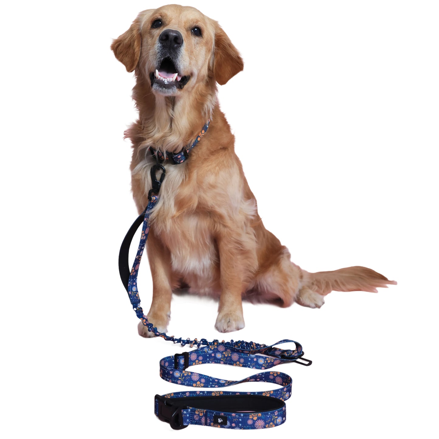 Fern & Fur 6-in-1 Reflective Dog Leash