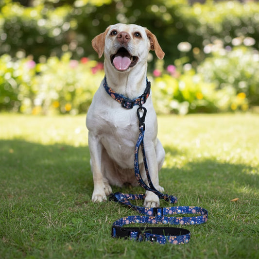 Fern & Fur 6-in-1 Reflective Dog Leash