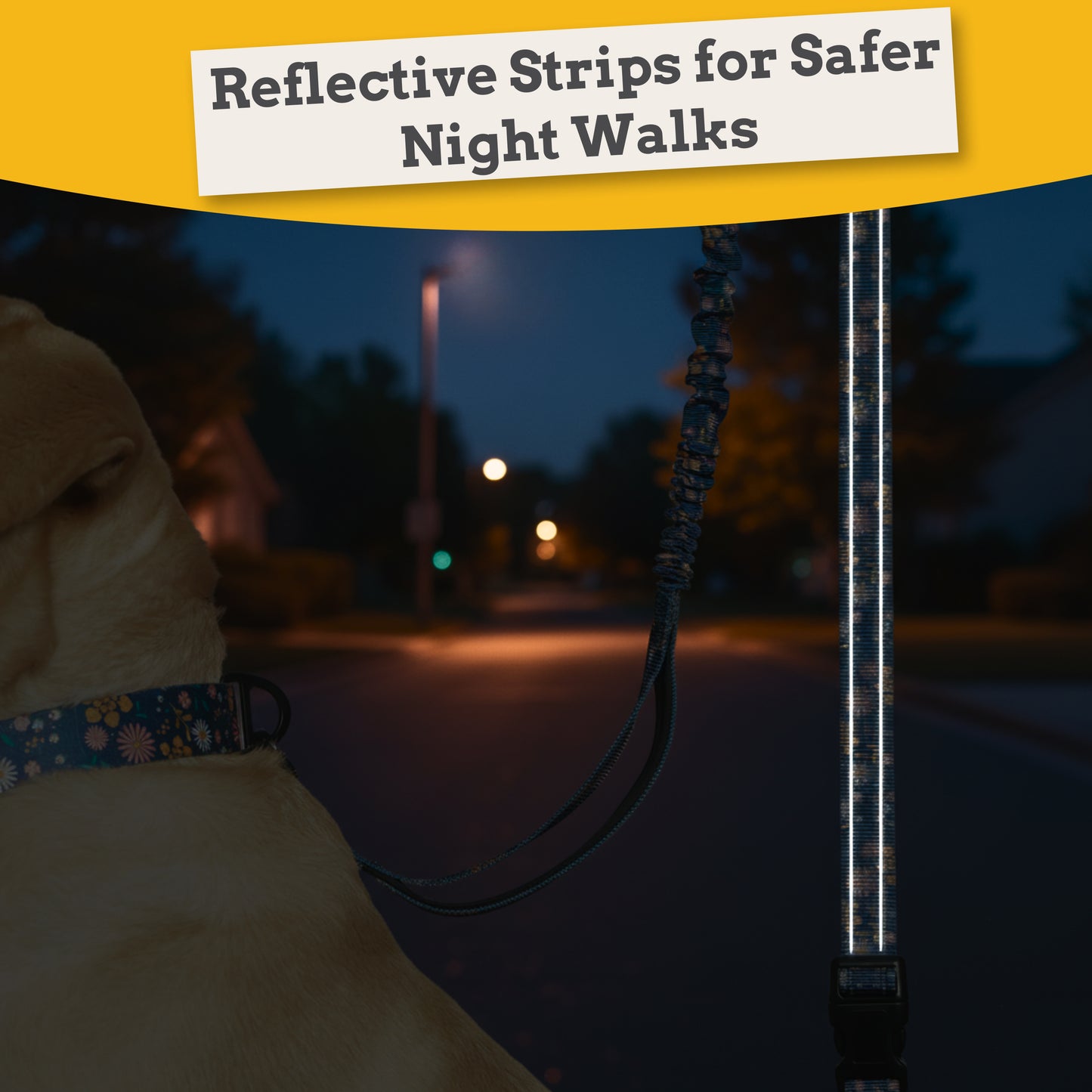 Fern & Fur 6-in-1 Reflective Dog Leash