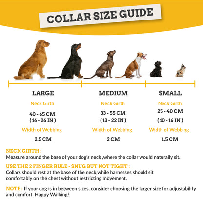 Midnight Hound Dog Collar