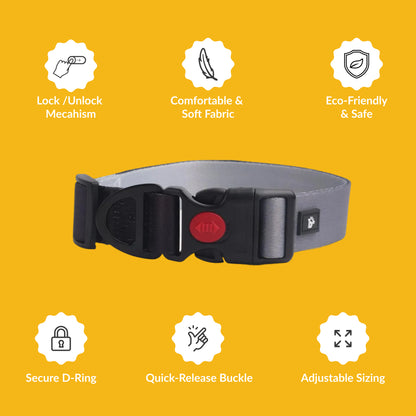 Midnight Hound Dog Collar