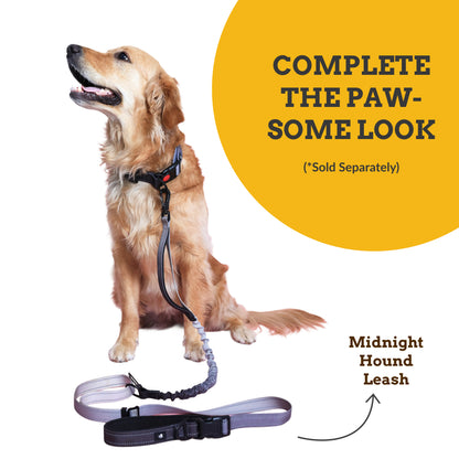 Midnight Hound Dog Collar