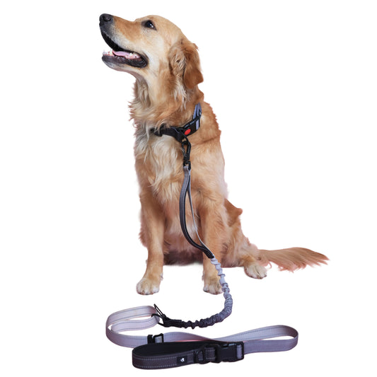 Midnight Hound 6-in-1 Reflective Dog Leash