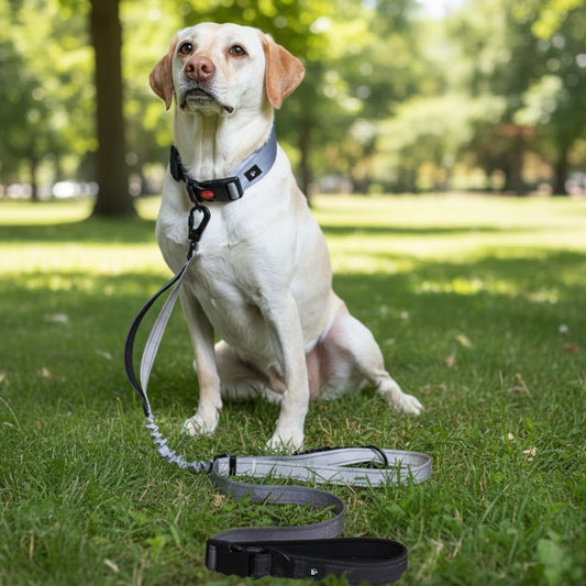 Midnight Hound 6-in-1 Reflective Dog Leash