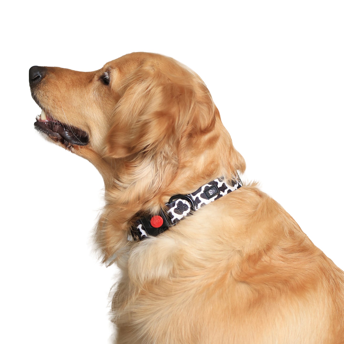 Moo-ve Over Adjustable Dog Collar