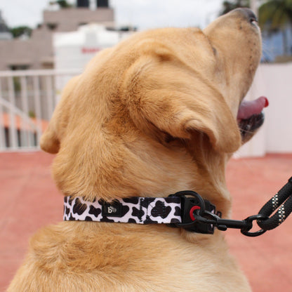 Moo-ve Over Adjustable Dog Collar