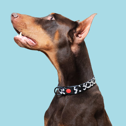 Moo-ve Over Adjustable Dog Collar