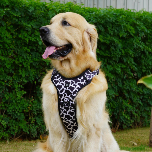 Moo-ve Over Reflective Dog Harness