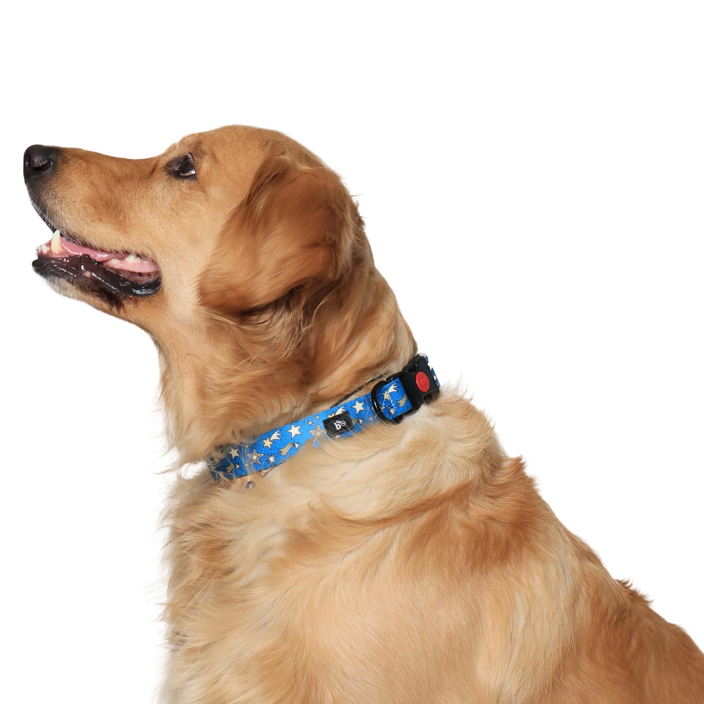 Nebula Nights Adjustable Dog Collar