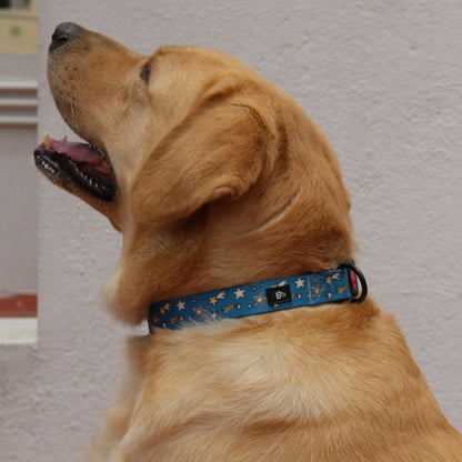 Nebula Nights Adjustable Dog Collar