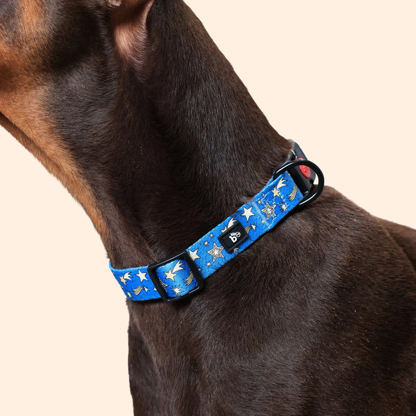 Nebula Nights Adjustable Dog Collar
