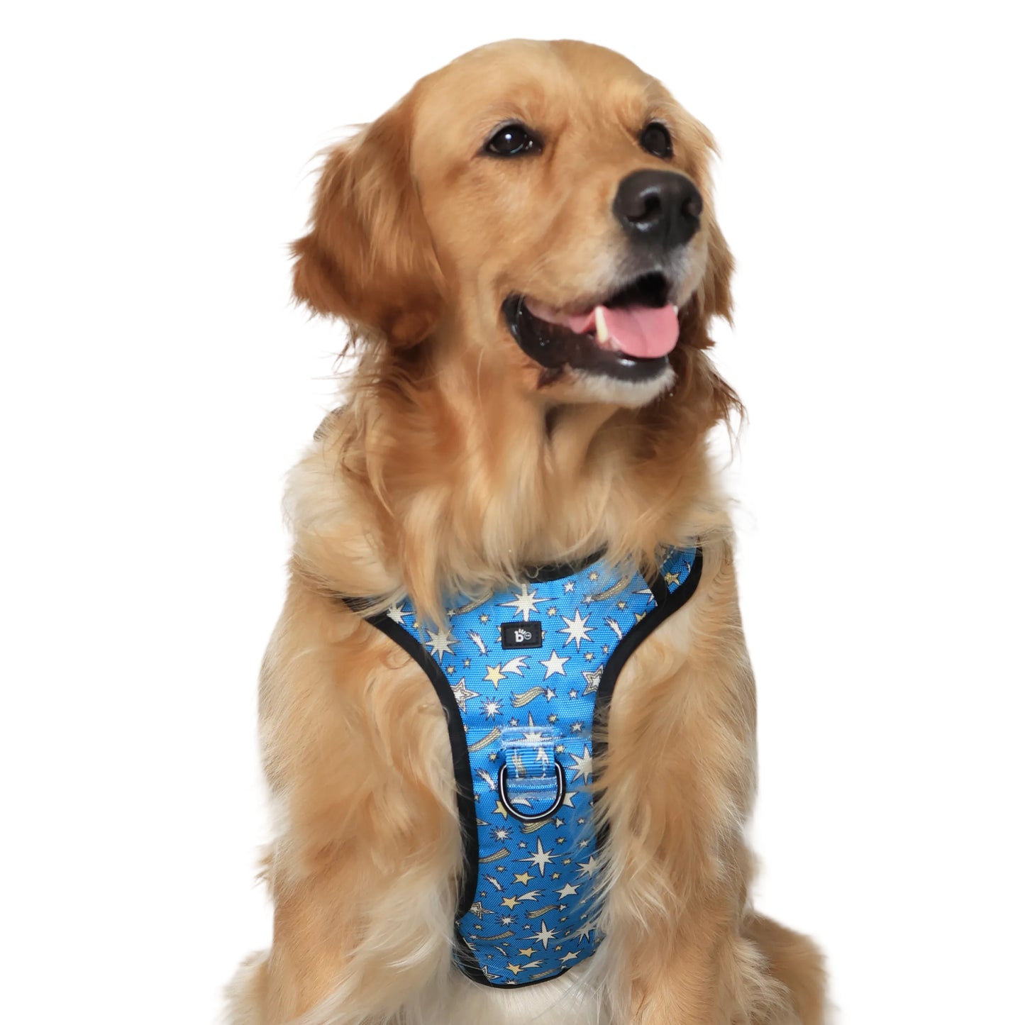 Nebula Nights Reflective Dog Harness