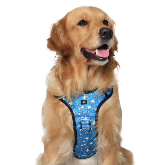 Nebula Nights Reflective Dog Harness