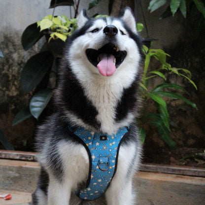 Nebula Nights Reflective Dog Harness
