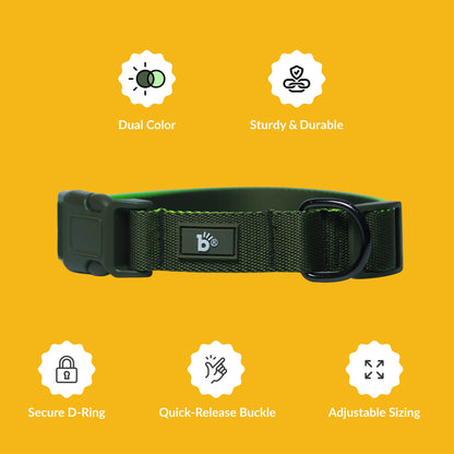 Olive Atlas Dog Collar