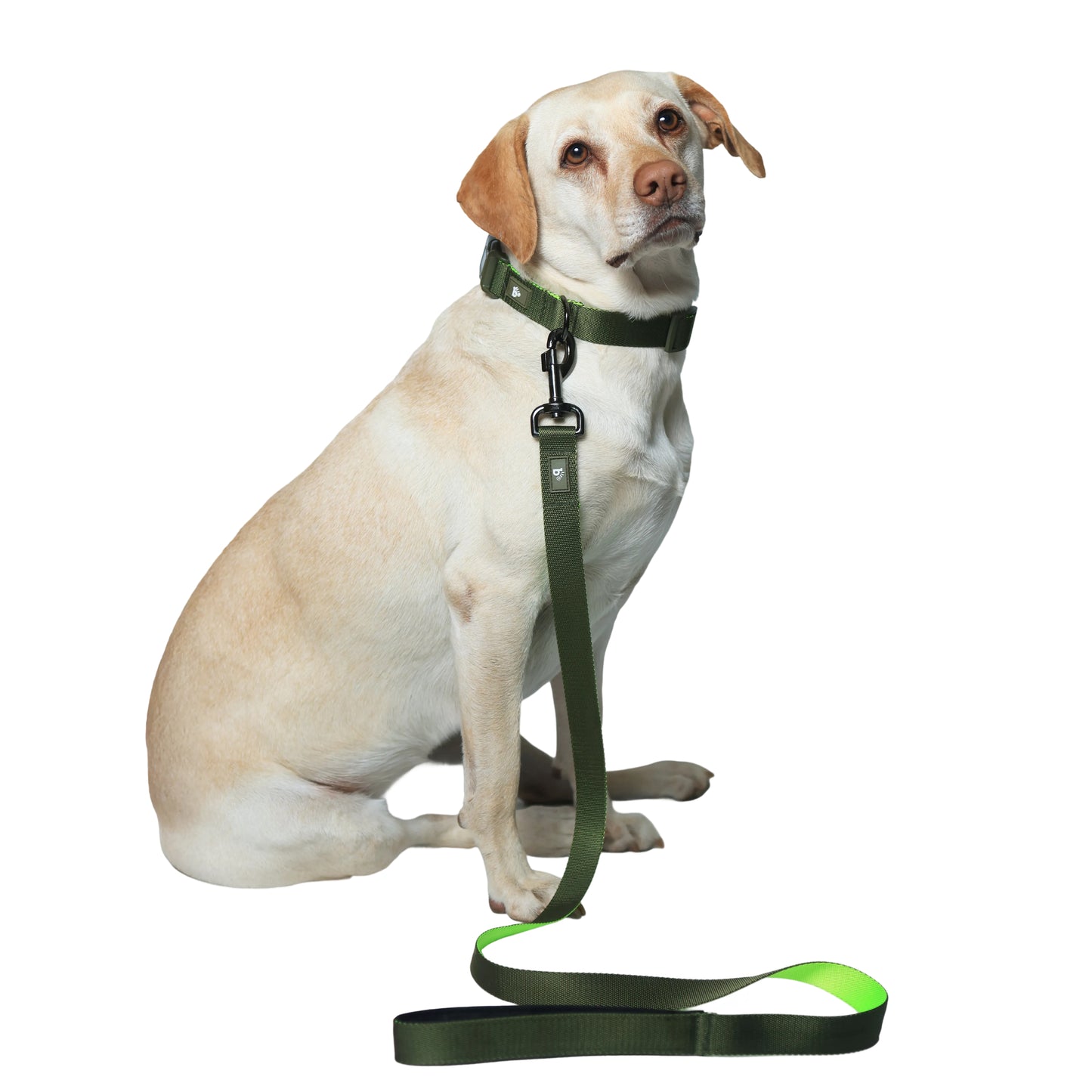 Olive Atlas Dog Leash