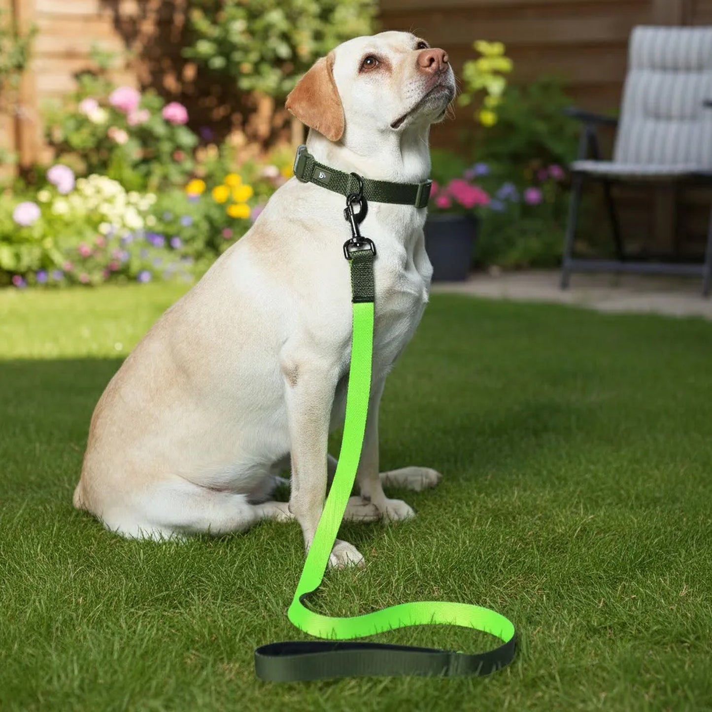 Olive Atlas Dog Leash