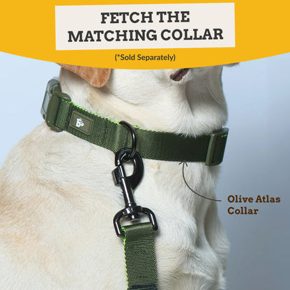 Olive Atlas Dog Leash