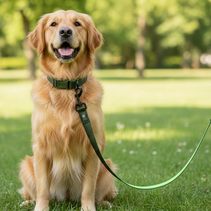 Olive Atlas Dog Leash