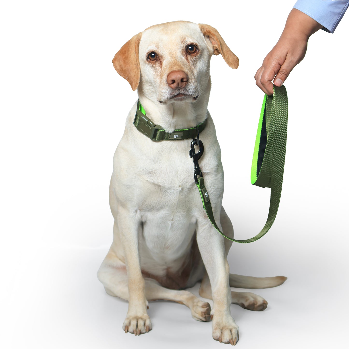 Olive Atlas Dog Leash