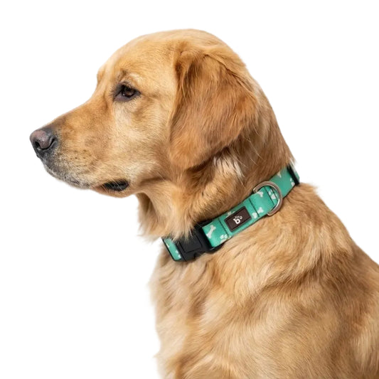 Paws & Bones Dog Collar