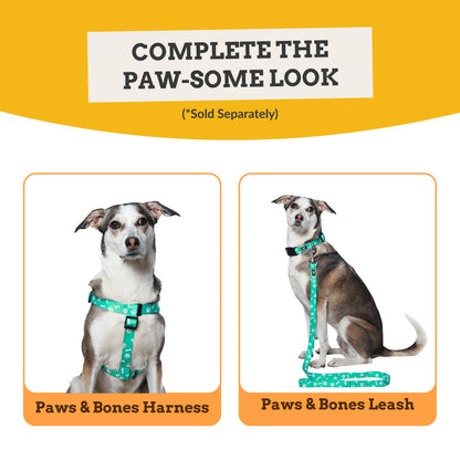 Paws & Bones Dog Collar