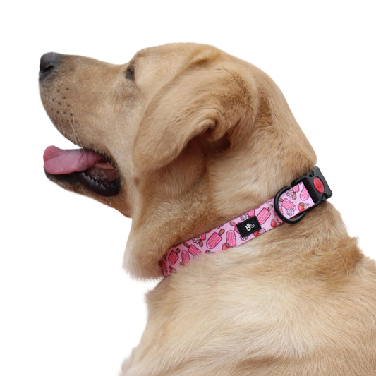 Pupcicle Party Adjustable Dog Collar