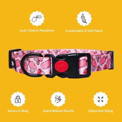Pupcicle Party Adjustable Dog Collar