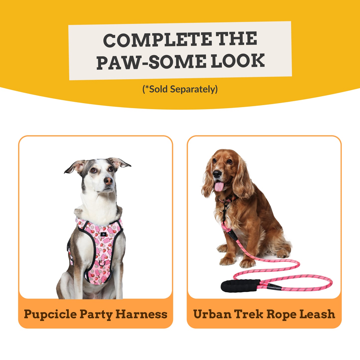 Pupcicle Party Adjustable Dog Collar