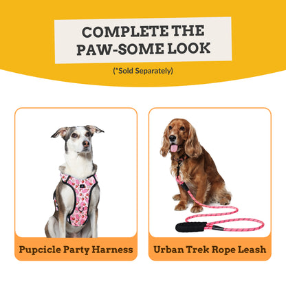 Pupcicle Party Adjustable Dog Collar