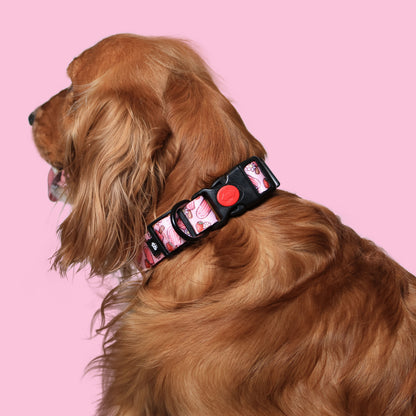 Pupcicle Party Adjustable Dog Collar