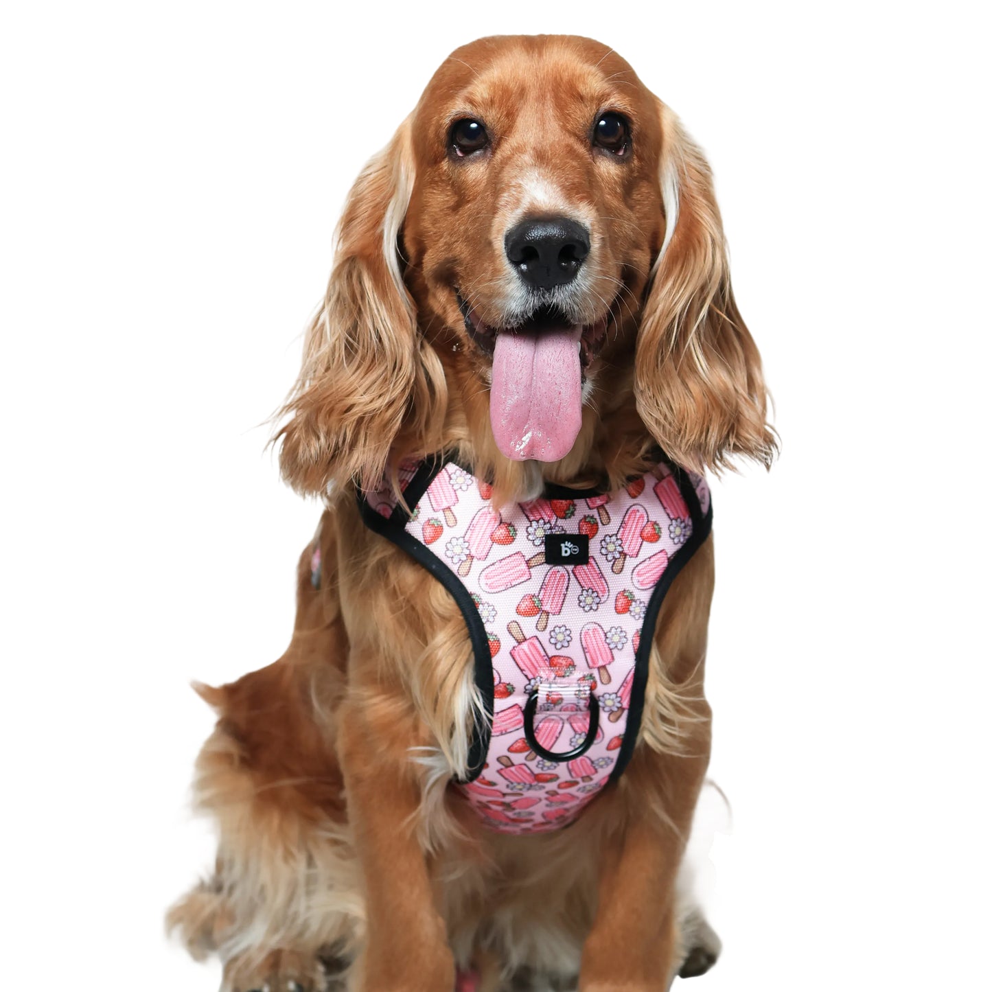 Pupcicle Party Reflective Dog Harness
