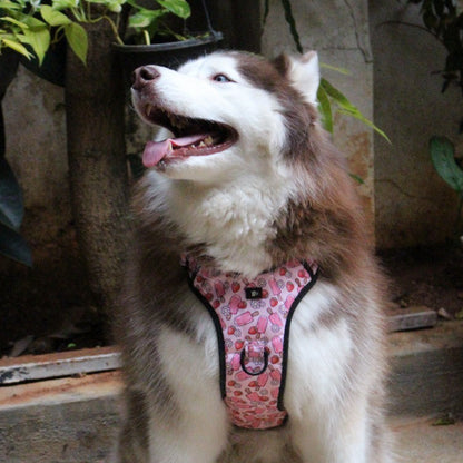 Pupcicle Party Reflective Dog Harness
