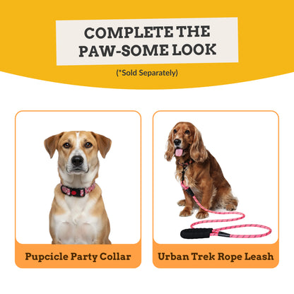 Pupcicle Party Reflective Dog Harness