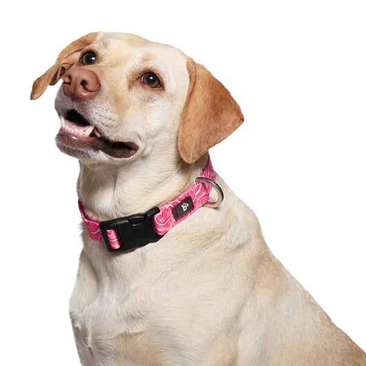 Puppy Blush Dog Collar