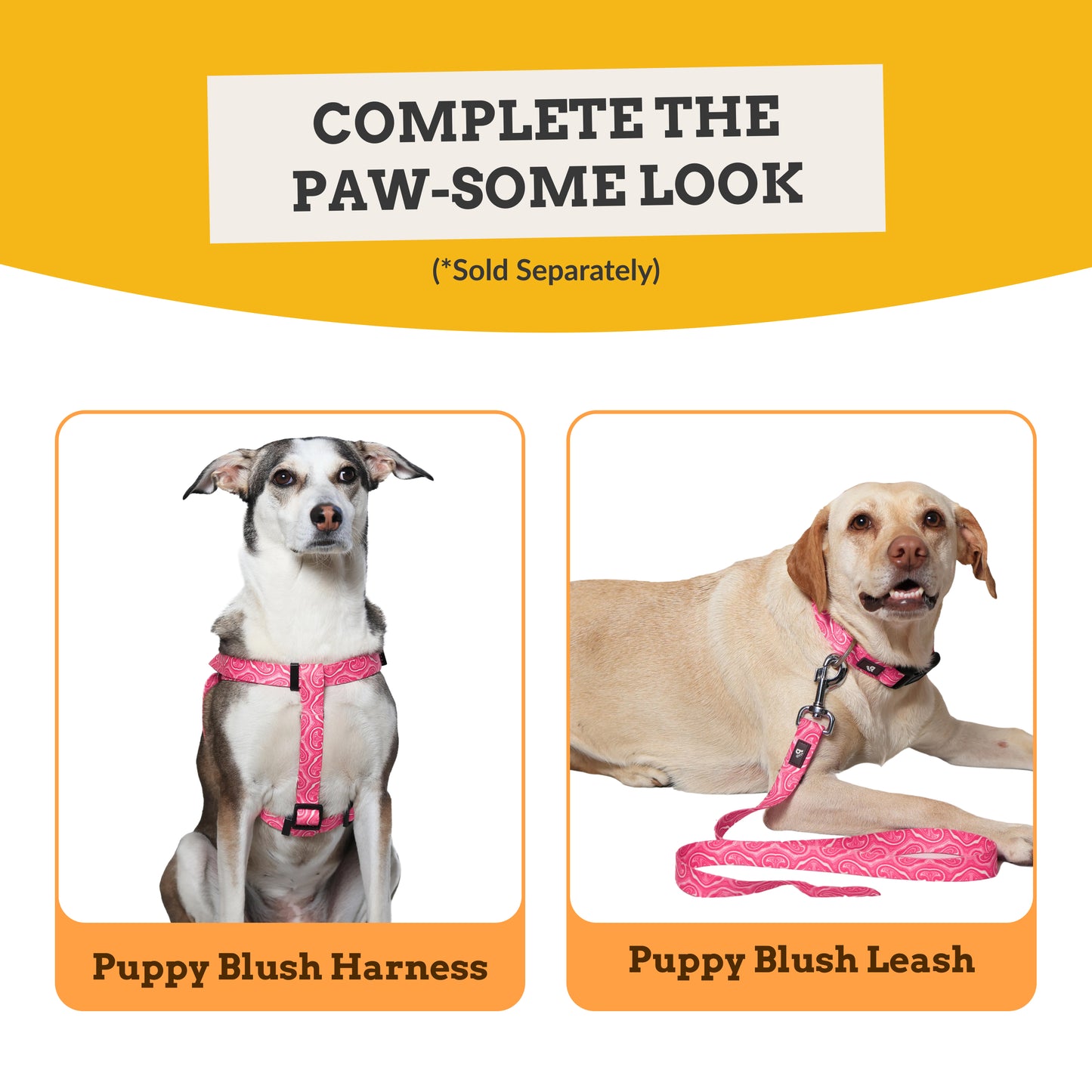 Puppy Blush Dog Collar