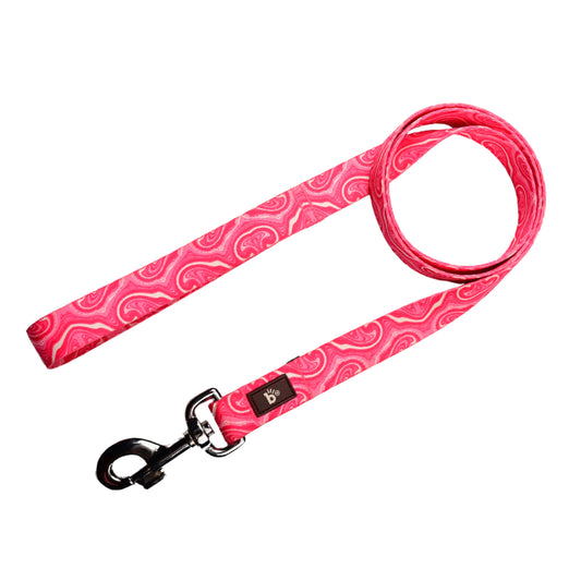 Puppy Blush Flat Dog Leash